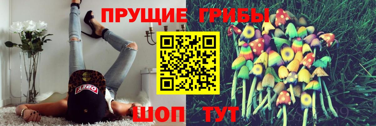 Галлюциногенные грибы Cubensis Зерноград